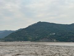 -北岐滩涂