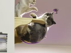 -瑞鹏宠物医院·骨科·猫科·内科(第一中心)