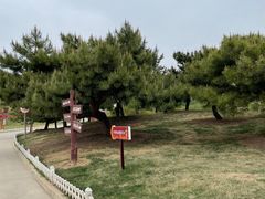 -塘沽森林公园