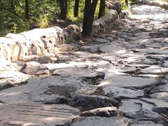 -阳台山自然风景区
