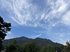 -丽泽山庄·生态怀柔菜·虹鳟鱼(红螺寺店)