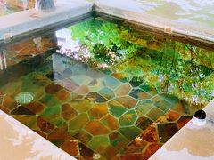 -中家鑫园温泉酒店鑫悦汤泉