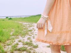 -合肥滨湖国家森林公园