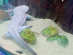-厦门海底世界