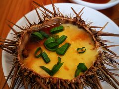 海胆蒸蛋-海胆小馆(春柳店)