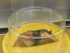 -争鲜回转寿司(浦东三钢里PLUS店)