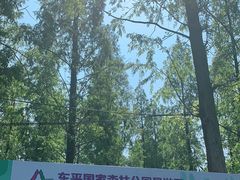 -东平国家森林公园
