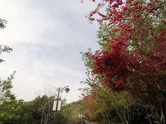 -杭州半山国家森林公园