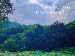 -番禺大夫山森林公园