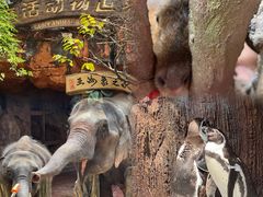 -长鹿旅游休博园