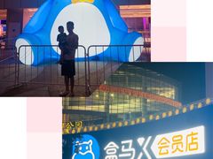-盒马X会员店(王府井奥莱UP TOWN店)