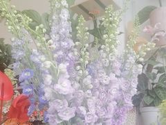 -FEI FEI FLOWER鲜花店·气球派对·宝宝宴布置(虹口德必运动Loft店)