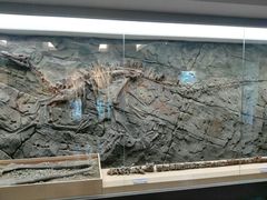 -嘉荫恐龙国家地质公园