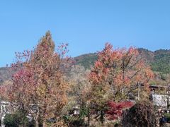 -塔川景区