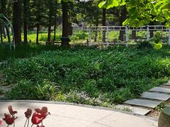 -国家植物园南园