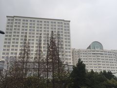 -上海市普陀区中心医院