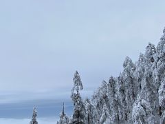 -瓦屋山景区