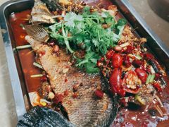 烤花鲢鱼-胖哥川菜馆(武东路店)