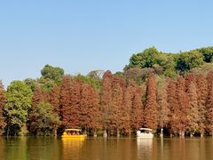 -星湖旅游景区七星岩