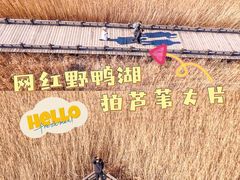 -野鸭湖国家湿地公园