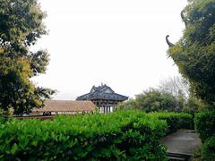 -鸿恩陶然大观园