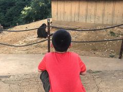 -岚山猴子公园