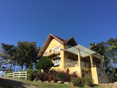 -黄色小屋
