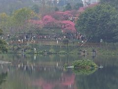 -重庆彩云湖湿地公园