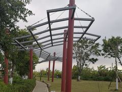 -芒洲湿地公园