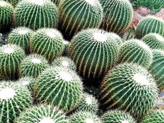 -华南国家植物园-售票处