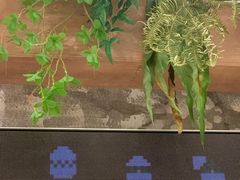 -老乡鸡(上海白玉兰广场店)