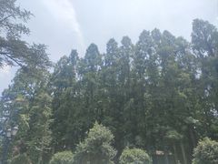 -上海虹桥迎宾馆