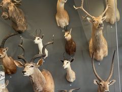 -陕西自然博物馆