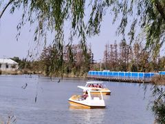 -上海长兴岛郊野公园