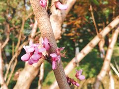 -杭州城北体育公园