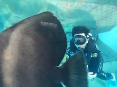 -波塞冬旅游度假区