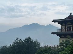 -庐山风景名胜区-东林大佛
