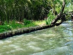 -同里国家湿地公园
