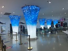 -深海中餐厅(国家海洋博物馆店)