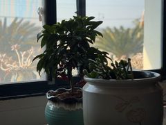 -三特浪口温泉精品酒店