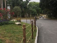-莲花山公园