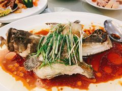 老虎斑-海逸海鲜酒家(古北店)