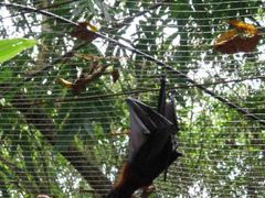 -蝴蝶山庄(Taman Rama-rama & Reptilia Melaka)