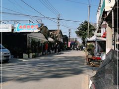 -金陵花卉交易市场