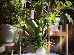 -一尺花园(安和花园店)