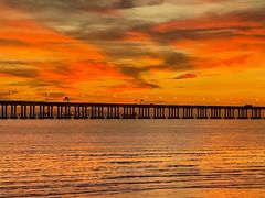 -宝安西湾红树林湿地公园