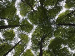 -山王坪喀斯特国家生态公园