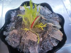 -马家斑.鲜鱼火锅(松湖万科店)