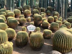 -南山植物园