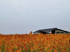 -白鹭湾湿地公园